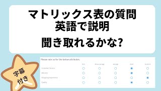 【リスニングチャレンジ】英語の説明聞き取れるかな? Matrix Table Question