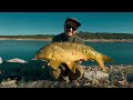 carpfishing 2025 autumn campaign