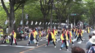 宮戸青嵐／公園通北会場（流し）②／第30回朝霞市民まつり 彩夏祭2013