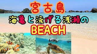 宮古島☀🌊海亀BEACHご覧下さい🐢