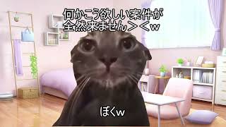 ちょっと疲れたのでお昼ギブアップ！ｗ【猫ミーム】