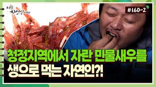 [자연인] 160-2 청정지역에서 자란 민물새우를 생으로 먹는 자연인?!