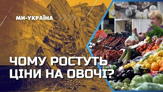 💸 Чому зростають ціни на овочі. До чого тут землетрус в Туреччині?