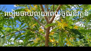 របៀបចាយលុយពេលចូលនិវត្តន៍