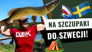 Wędkarskie przygody - szczupaki w Szwecji