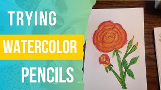 Rose painting trying watercolor pencils