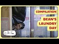 Mr Bean's Wash & Chaos... & More | Compilation | Classic Mr Bean