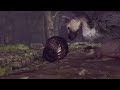 The Last Guardian [ PS4 Pro ] Part 12