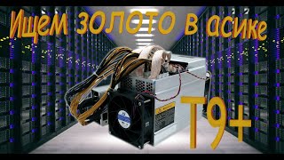 Ищем Золото в Асик Майнере T9+