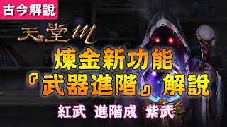 《天堂M》煉金新功能『武器進階』解說 (紅武進階紫武)