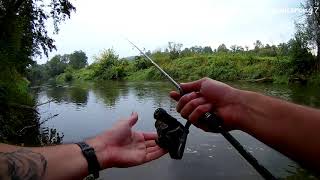 Many Chubs and Many Perches in Raining Weather | Small River in Poland (eng subs)