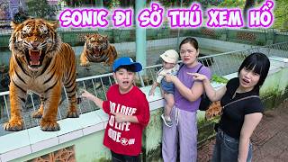 Lần Đầu Sonic Đi Sở Thú Xem Hổ - Go To The Zoo #trangandvinhtv