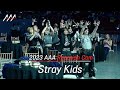 [#AAA2023] StrayKids 2023 Asia Artist Awards Reaction Cam (스트레이키즈 리액션캠)