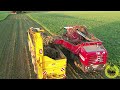 xxl rübenernte grimme rexor 6300 platinum vredo mit hawe rübenaufbau lu a. marquardt fendt