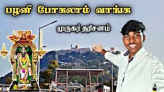 🔥 பழனி முருகர் தரிசனம் | Palani murugan temple 🙏🏻🦚 festival time | தை பூசம் Palani vlog 2025