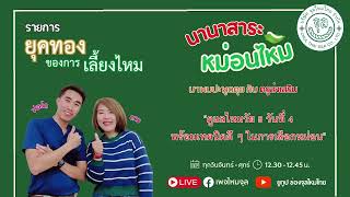 ดูแลไหมวัย 5 วันที่ 4 พร้อมเทคนิคดี ๆ ในการเลือกหม่อน