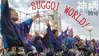 【総乱舞】かみす舞っちゃけ祭り_SUGGOI WORLD!【2016年】