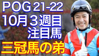 【POG/21-22】１０月３週目デビューの注目新馬を紹介【兄に続けるか！？三冠馬の全弟サンセットクラウド！】