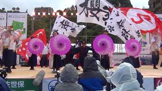 【LIVE】第20回 YOSAKOIさせぼ祭り 【本祭最終日】 名切お祭り広場会場より