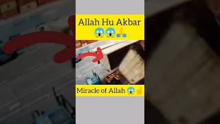 Miracle of Allah☝😰😱||#yaAllah #islam #short  respect #short