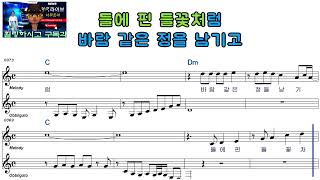 이원희ㅡ능소화 내 사랑ㅡ남자키ㅡELF 919ㅡ40119