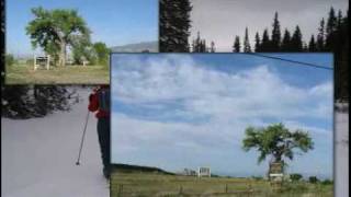 $325,000 Land (commercial), Cedaredge, CO