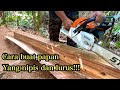 Cara membuat papan yang nipis#Lurus#chainsaw stihl#ms382#pokok Akasia