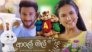 ආලේ මල් - Aaley mal | Kanchana Anuradhi new song | Aaley mal alvin version song | Himabole Studio