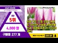 튤립구근 추천 판매순위 top10 가격 평점 후기 비교0 튤립구근 동영상