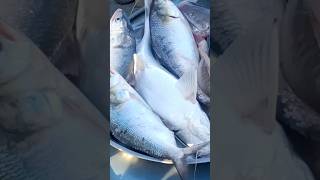 Padma River Fresh Fish। Padma River Fish। #shorts #youtubeshorts #short