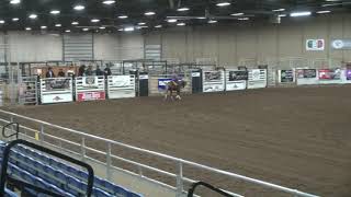 Topsail Smoking Gun - Canadian Snaffle Bit Futurity - Rein Work