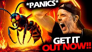 LARS ULRICH REACTION WHEN A WASP INTERRUPTS THE PRACTICE  #METALLICA