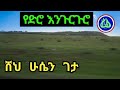 ሸህ ሁሴን ገታ የድሮ እንጉርጉሮ sheh husein geta old engurguro