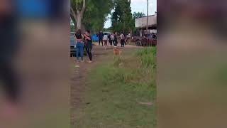 Desalojaron a personas que ocupaban terrenos del ferrocarril en Paraná