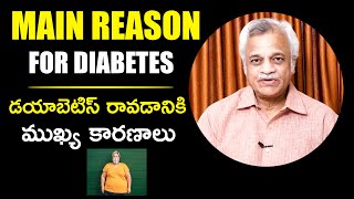 డయాబెటిస్ రావడానికి ముఖ్య కారణాలు | Main Reason For Diabetes | Dr. P.V. Rao | Health Qube