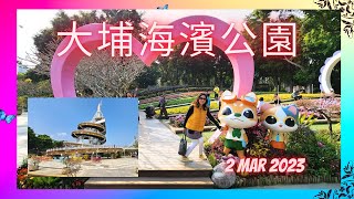 2 Mar 2023 大埔海濱公園