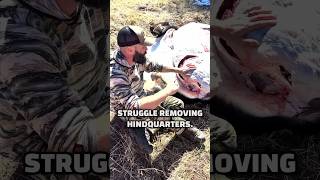 Remove a HIND QUARTER Like a PRO - Elk, Deer or Moose #Shorts