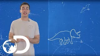 SERIES 101 | MODERN DINOSAURS