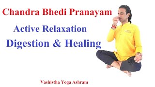 Chandra Bhedi Pranayama | Active Relaxation, Digestion| Manage Stress, Insomnia, Acidity | Vashistha