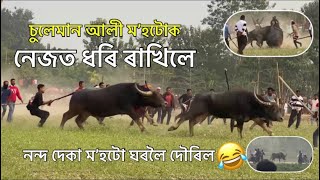 Jaluguti ভয়ংক Moh juj নন্দ দেকা VS চুলেমান আলী Nanda deka Suleman ali moh juj #mohjuj