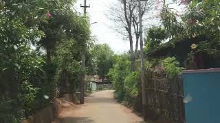 Chittur, Palakkad || Kerala Village || Kerala Samayal in Tamil