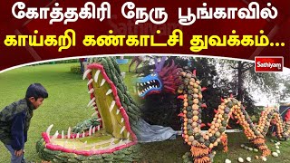 கோத்தகிரி நேரு பூங்காவில் காய்கறி கண்காட்சி துவக்கம் | SathiyamTv