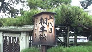 30秒の心象風景24026・五代目相生松～高砂神社～