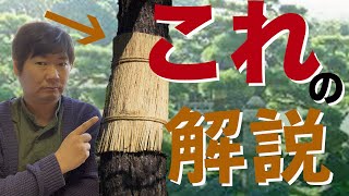 【こも巻き】何のためにする？解説します