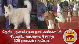 தேசிய அளவிலான நாய் கண்காட்சி : 45 அரிய வகையை சேர்ந்த 325 நாய்கள் பங்கேற்பு | Dog Show | Thanthi TV