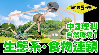 【中３理科　持続可能】自然環境１　「生態系・食物連鎖」『食物網』