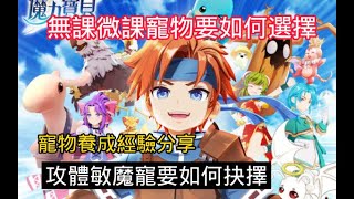 《魔力寶貝：新世界》無課微課寵物要如何養成?