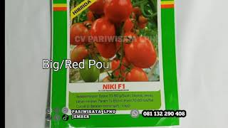 Benih Biji Bibit Tomat Niki F1. Rp 15.000 s/d 99.000