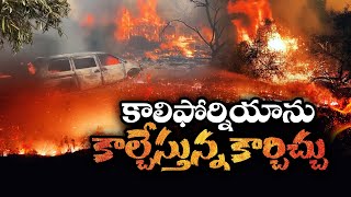 California Wildfires | Thousands of People Moved to Safe Places | కాలిఫోర్నియాలో కార్చిచ్చు బీభత్సం