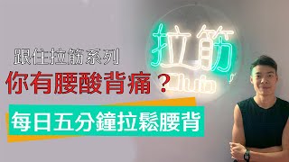 跟住拉筋系列 | 腰酸背痛篇 | 5分鐘拉鬆腰背